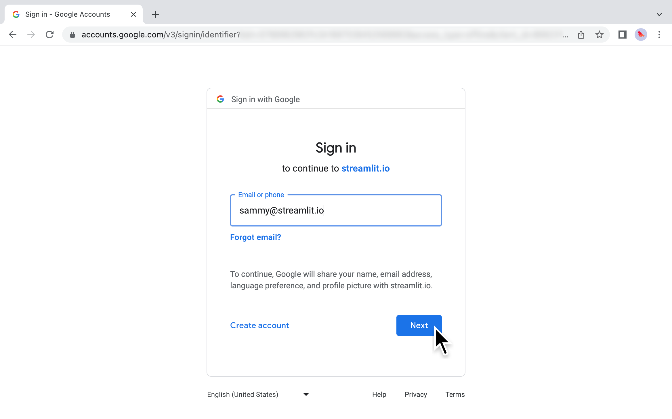 Enter your Google credentials