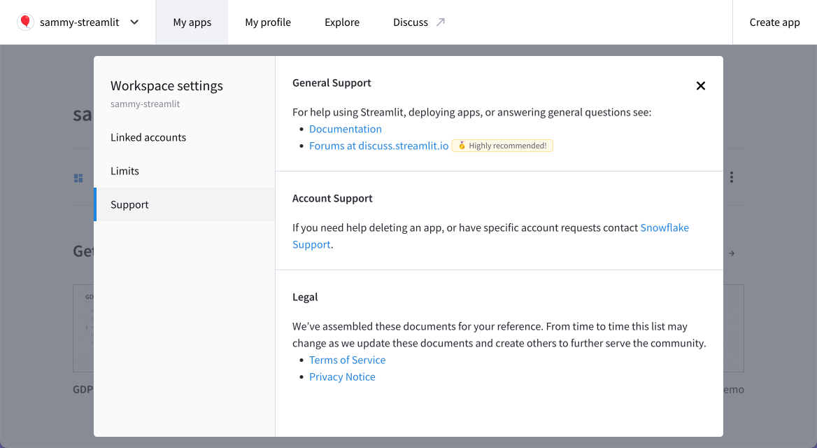 Support options available through workspace settings